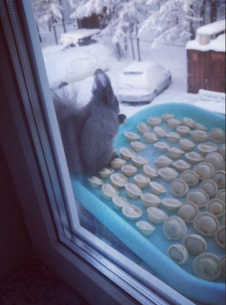 QIP Shot - Screen 2185.png